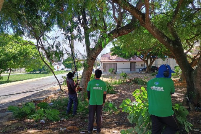 Secretaria Municipal de Meio Ambiente mantém serviços de manutenção de praças e podas de árvores no município