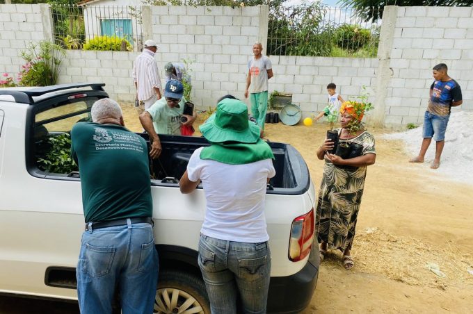 Agricultores do assentamento Cedro recebem mudas de umbu gigante e atendimento da Secretaria de Desenvolvimento Rural