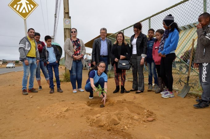 Secretaria de Meio Ambiente planta mudas de árvores em torno do colégio Caic