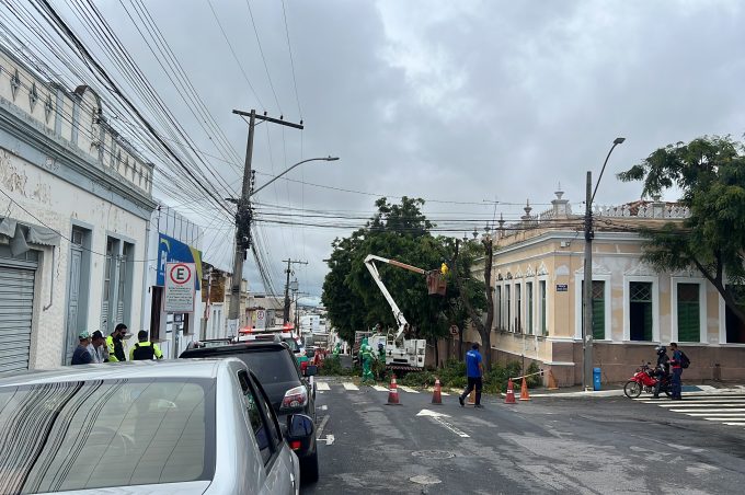 Simtrans bloqueia temporariamente Rua Coronel Gugé para poda de árvores