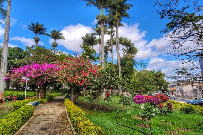 Cuidado especial na Praça Tancredo Neves garante colorido no inverno