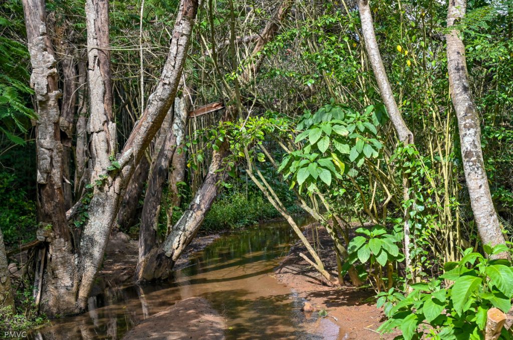 Foto: Reprodução/Prefeitura de Vitória da Conquista - BA