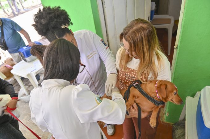 Vacinação Antirrábica na Zona Rural começa segunda-feira. Dia D será em 10 de agosto