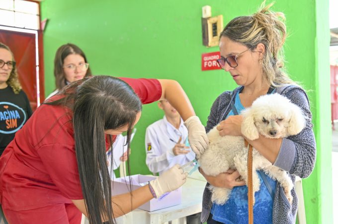 Vacinação antirrábica será realizada neste sábado na Praça Nossa Senhora dos Verdes