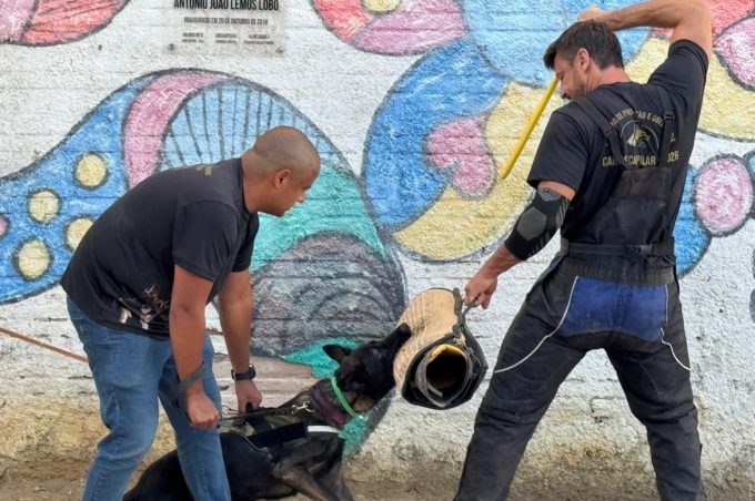 Por meio do Gama, Guarda Municipal participa de seminário sobre cães de proteção e obediência funcional