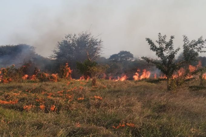 Com tempo seco e baixa umidade do ar, número de incêndios fruto de ação humana cresce em Vitória da Conquista