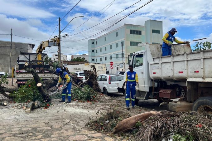 Sesep atua com mutirão de limpeza, poda de árvores e Operação Cata-Bagulho em oito locais da cidade nesta semana