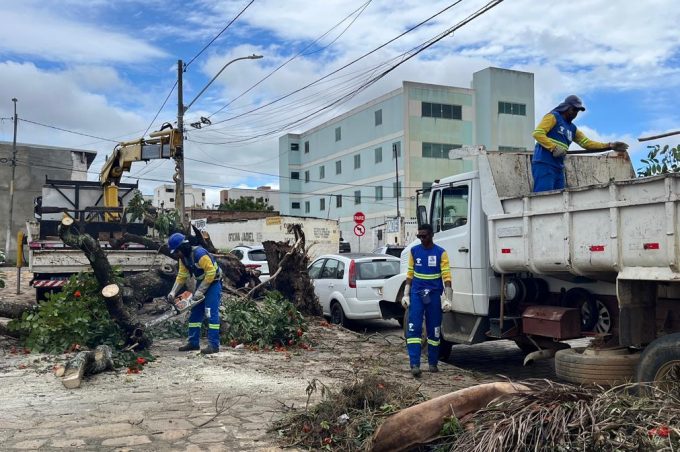 Sesep atua com mutirão de limpeza e poda de árvores em oito locais da cidade nesta semana