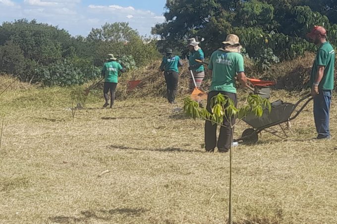Secretaria Municipal de Meio Ambiente executa serviços de manutenção e limpeza na Lagoa do Jurema