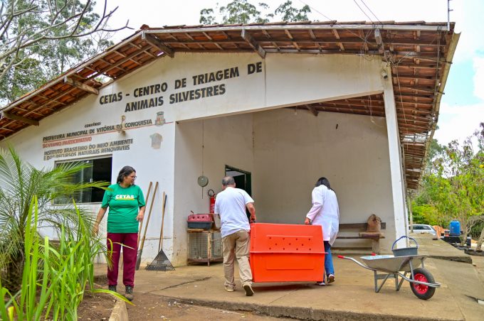 Apreensão de animais silvestres abatidos reforça alerta para caça ilegal e crimes ambientais