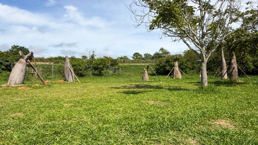 Foto: Reprodução/Prefeitura de Vitória da Conquista - BA