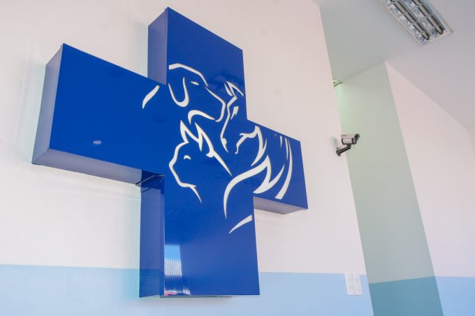 Prefeitura regulamenta programa Casa e define como será o atendimento de animais de rua no Centro de Apoio à Saúde Animal