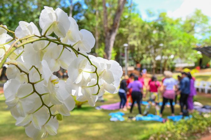 Setembro Amarelo: Crav realiza ação “Florescendo em Saúde Mental” com referenciadas