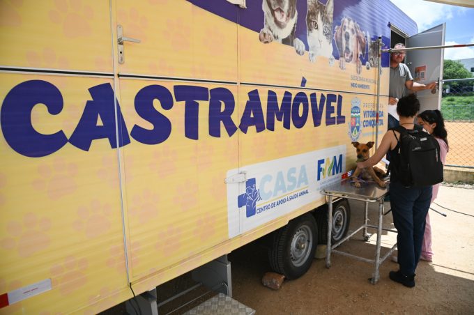 Castramóvel realiza procedimentos em cães e gatos no bairro Cruzeiro até este sábado