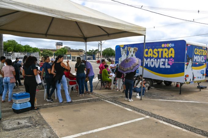 Na primeira edição do ano, Castramóvel inicia a microchipagem para maior segurança de animais e tutores