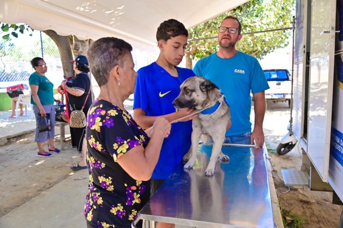 Serviço de castração de cães e gatos é realizado pelo Castramóvel na Urbis IV