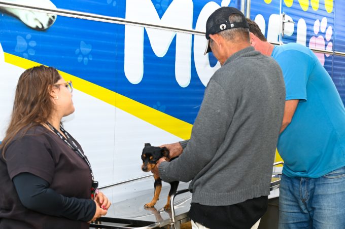 Castramóvel leva atendimento gratuito a cães e gatos do loteamento Terras do Remanso