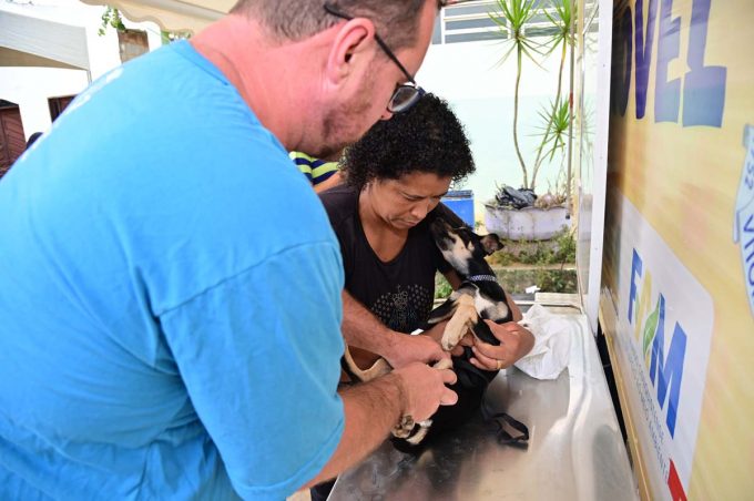 Em Cabeceira do Jiboia, Castramóvel realizou procedimentos em cães e gatos neste sábado