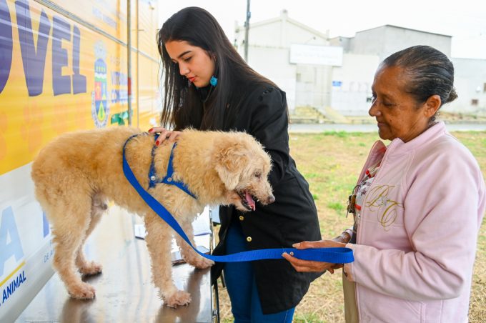 Mais de 6 mil animais foram beneficiados com atendimentos do Centro Apoio à Saúde Animal e Castramóvel