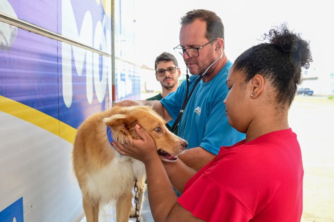 Castramóvel chega ao Morada dos Pássaros com castração e microchipagem de cães e gatos
