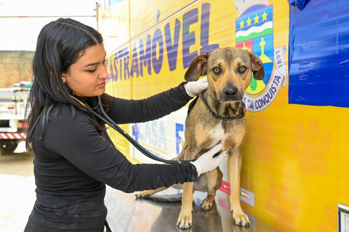Castramóvel realiza atendimento de cães e gatos no distrito de Dantilândia nesta sexta e sábado