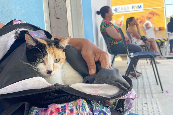 Castramóvel realizou 63 castrações e mais de 100 atendimentos nos Campinhos