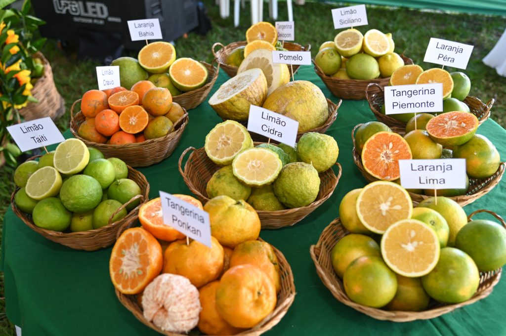 Foto: Reprodução/Prefeitura de Vitória da Conquista - BA