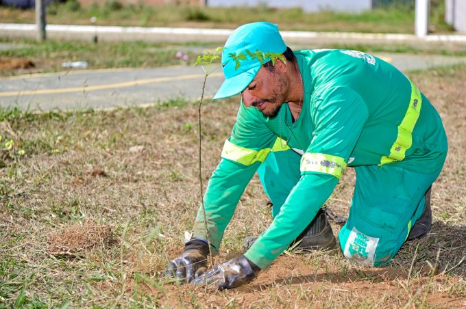 Com menos de um ano de lançamento, Conquista Mais Verde já está no mapa de boas práticas ambientais