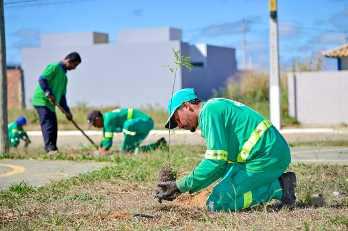 Conquista Mais Verde: Prefeitura Municipal realiza plantio de 120 mudas de árvores no Loteamento Vila do Marquês