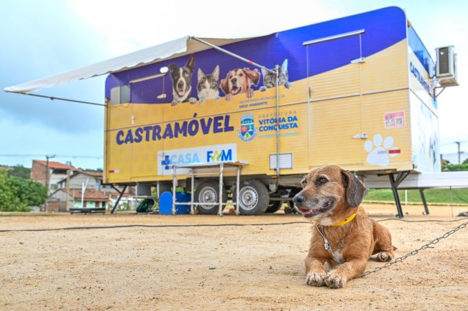 Castramóvel retorna ao Cruzeiro para atender cães e gatos nesta sexta e sábado