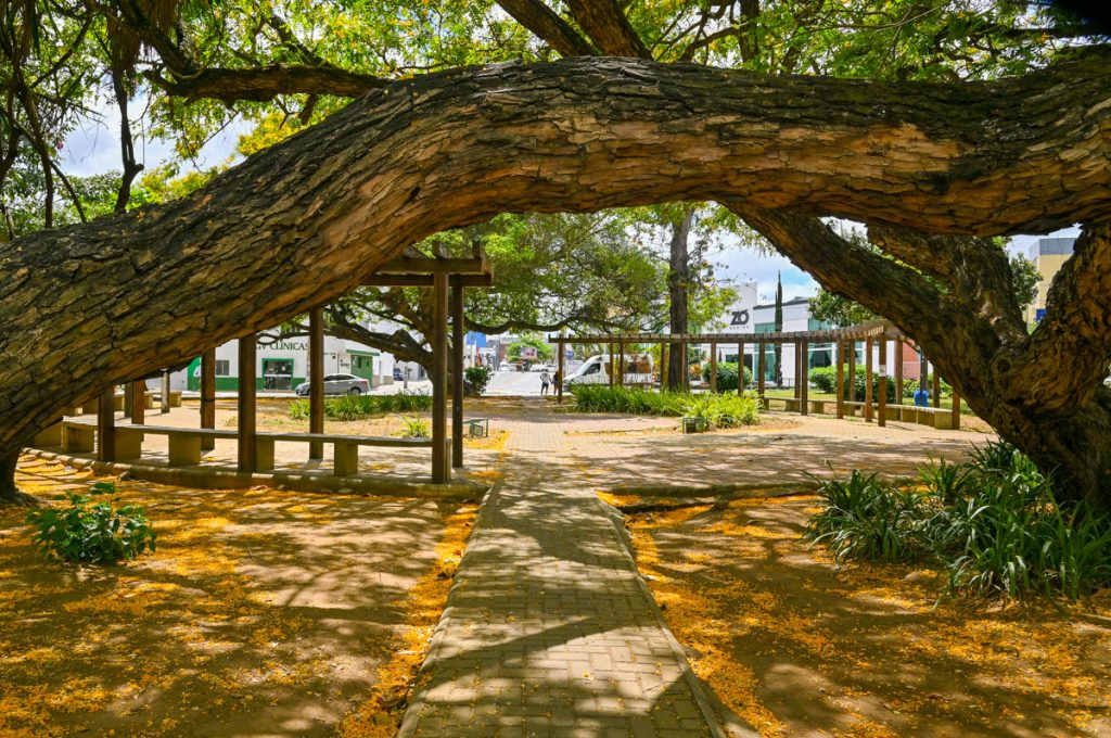 Foto: Reprodução/Prefeitura de Vitória da Conquista - BA