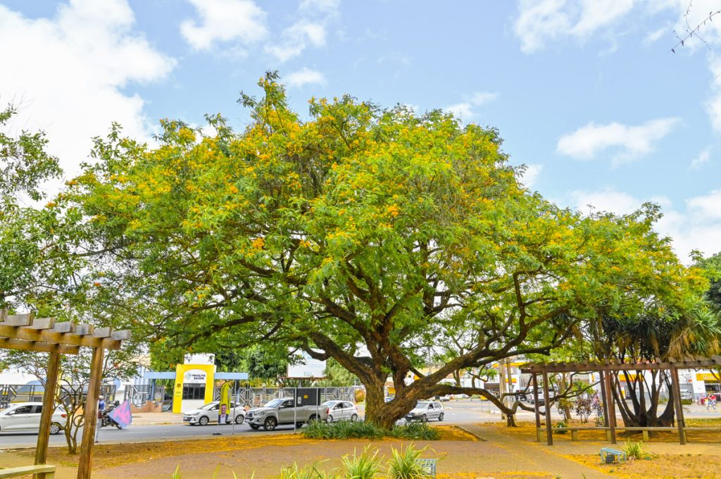 Foto: Reprodução/Prefeitura de Vitória da Conquista - BA