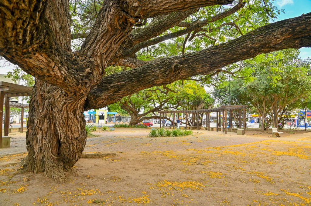 Foto: Reprodução/Prefeitura de Vitória da Conquista - BA