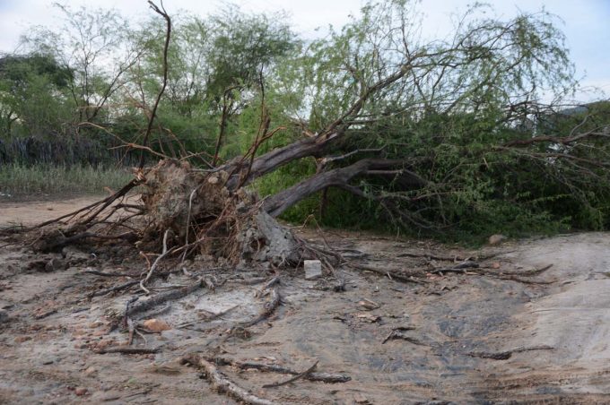 Tempestade com rajadas de vento e granizo causam destruição em duas comunidades rurais do distrito de Bate-Pé