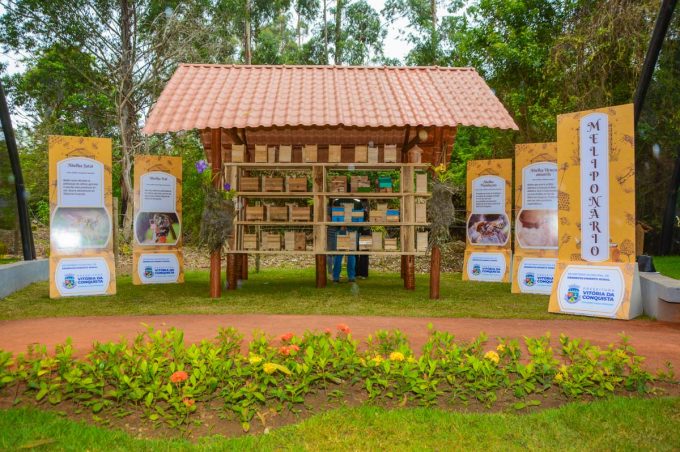 Nova lei reconhece abelhas nativas sem ferrão como patrimônio natural de Vitória da Conquista