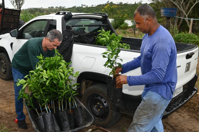 Secretaria de Desenvolvimento Rural inicia segunda etapa do Projeto Citrus do Futuro voltado para pequenos produtores