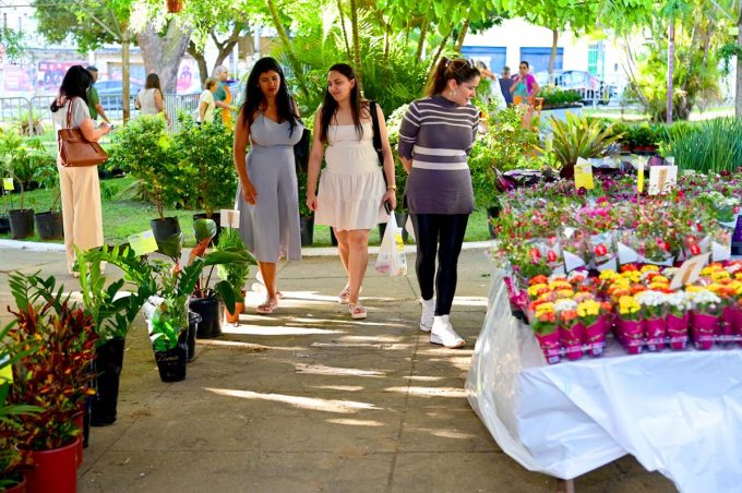 Conquista Florescendo: Feira de Flores de Holambra acontece em Vitória da Conquista até domingo, 23