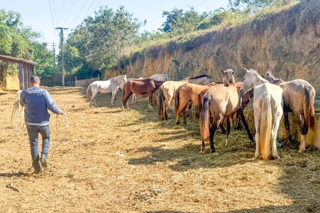 Foto: Reprodução/Prefeitura de Vitória da Conquista - BA