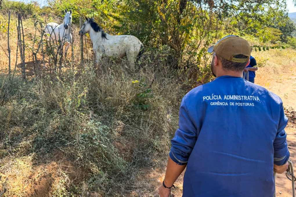 Foto: Reprodução/Prefeitura de Vitória da Conquista - BA