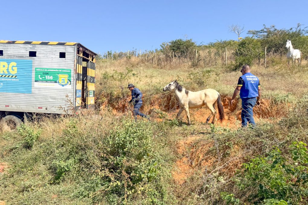 Foto: Reprodução/Prefeitura de Vitória da Conquista - BA
