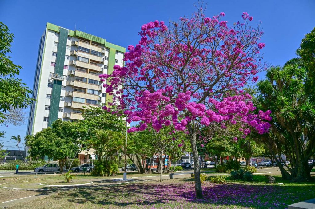 Foto: Reprodução/Prefeitura de Vitória da Conquista - BA