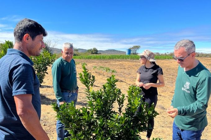 No Dia do Agricultor, Prefeitura destaca projetos voltados para famílias que vivem e trabalham no campo