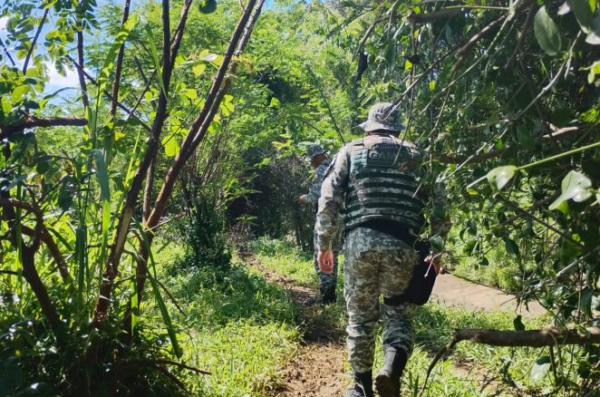 Força-Tarefa da Prefeitura retomou buscas por Rosânia no entorno do Rio Verruga às 4h30. Outra equipe está na Limeira