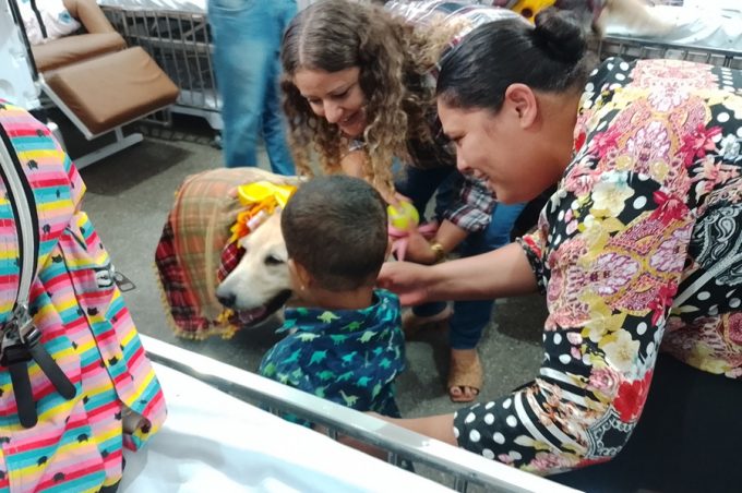 GTH do Hospital Esaú Matos aproveita festejos juninos e leva pet terapia para pacientes da pediatria