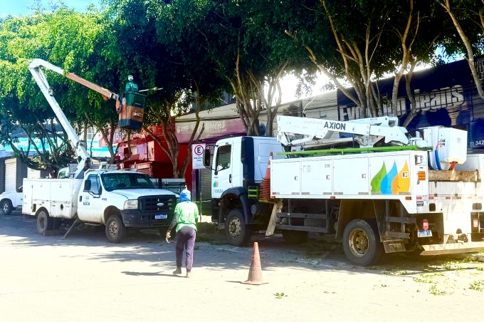 Secretaria Municipal de Meio Ambiente realiza poda de árvores e restauração de calçamento na Praça da Bandeira