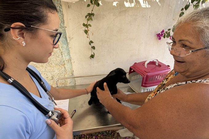 Castramóvel realiza três dias de atendimento no bairro Lagoa das Flores. Somente no sábado foram 80 castrações