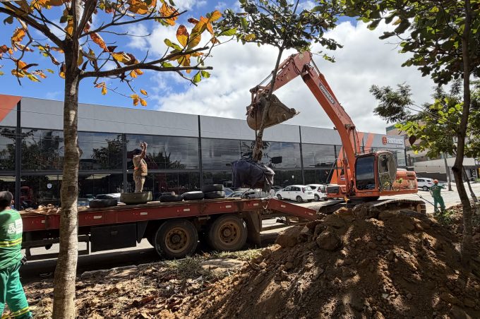 Prefeitura inicia remoção e transplantio de árvores na Avenida Juraci Magalhães para obra de drenagem