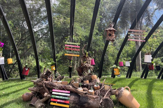 Orquidário Municipal Zilda Gusmão recebeu mais de seis mil visitantes em quase sete meses de inaugurado