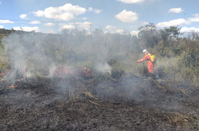 Brigada de Vitória da Conquista combate 353 focos de incêndio em dois meses
