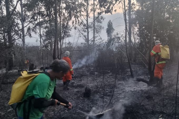 Vitória da Conquista registrou cinco incêndios em diferentes pontos da cidade nesta quarta. Brigada Municipal agiu rápido
